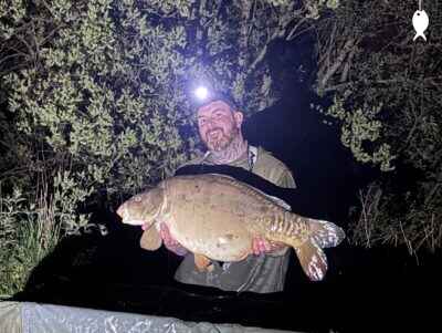 31lb 6oz Mirror Carp caught at The Quarry