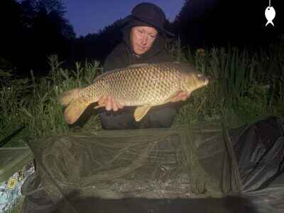 22lb 8oz Common Carp caught at Lodge Pool