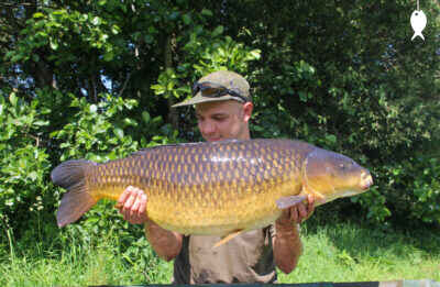 31lb 6oz Common Carp caught at The Quarry
