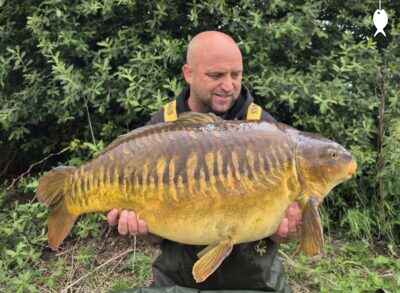 31lb 1oz Mirror Carp caught at The Quarry