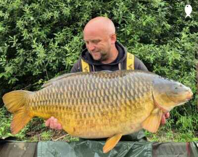 43lb 6oz Common Carp caught at The Quarry