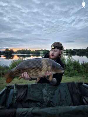36lb 4oz Common Carp caught at The Quarry