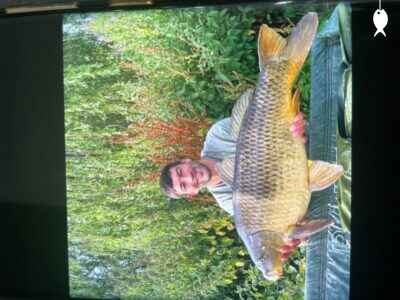 29lb 5oz Common Carp caught at The Quarry
