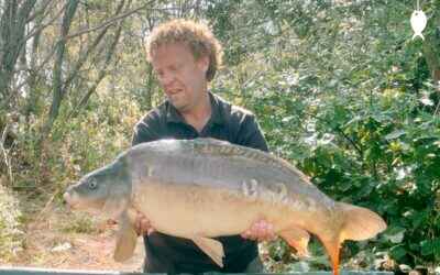 31lb 0oz Mirror Carp caught at Bridge