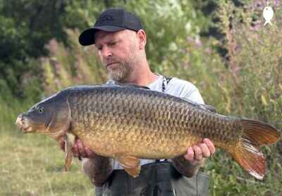 22lb 0oz Common Carp caught at The Quarry