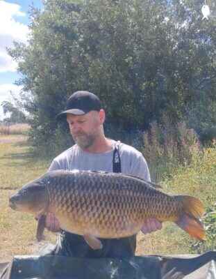 37lb 2oz Common Carp caught at The Quarry