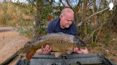 25lb 0oz Common Carp caught at Bridge