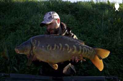23lb 1oz Mirror Carp caught at Bridge
