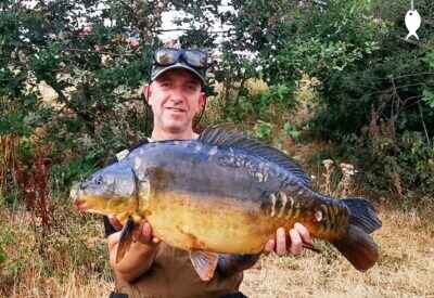 20lb 2oz Mirror Carp caught at Bridge