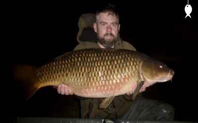 38lb 0oz Common Carp caught at The Quarry