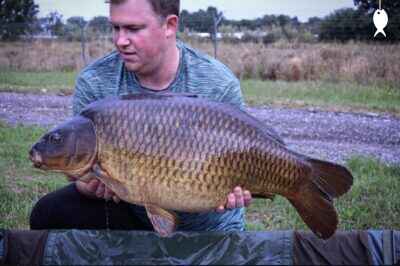 32lb 0oz Common Carp caught at The Quarry