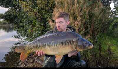 24lb 0oz Mirror Carp caught at The Quarry