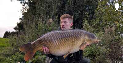 41lb 8oz Common Carp caught at The Quarry