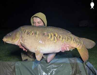 43lb 9oz Mirror Carp caught at Glovers