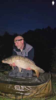 18lb 3oz Common Carp caught at Lodge Pool