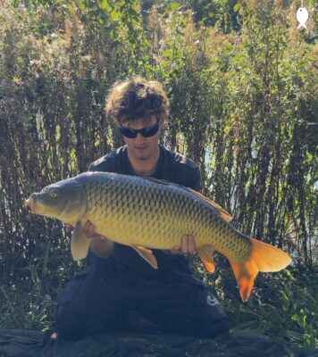18lb 7oz Common Carp caught at Dam Pool