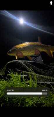 20lb 0oz Common Carp caught at Middle Pool