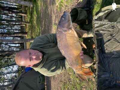 17lb 0oz Mirror Carp caught at Lodge Pool